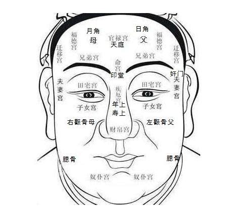 耳運年齡|面相看你每一個年齡段的運勢